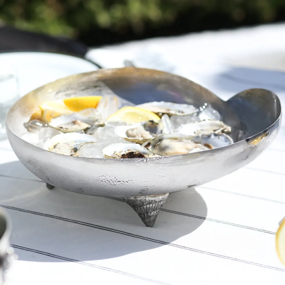 Ocean Reef Large Nautilus Shell  Bowl